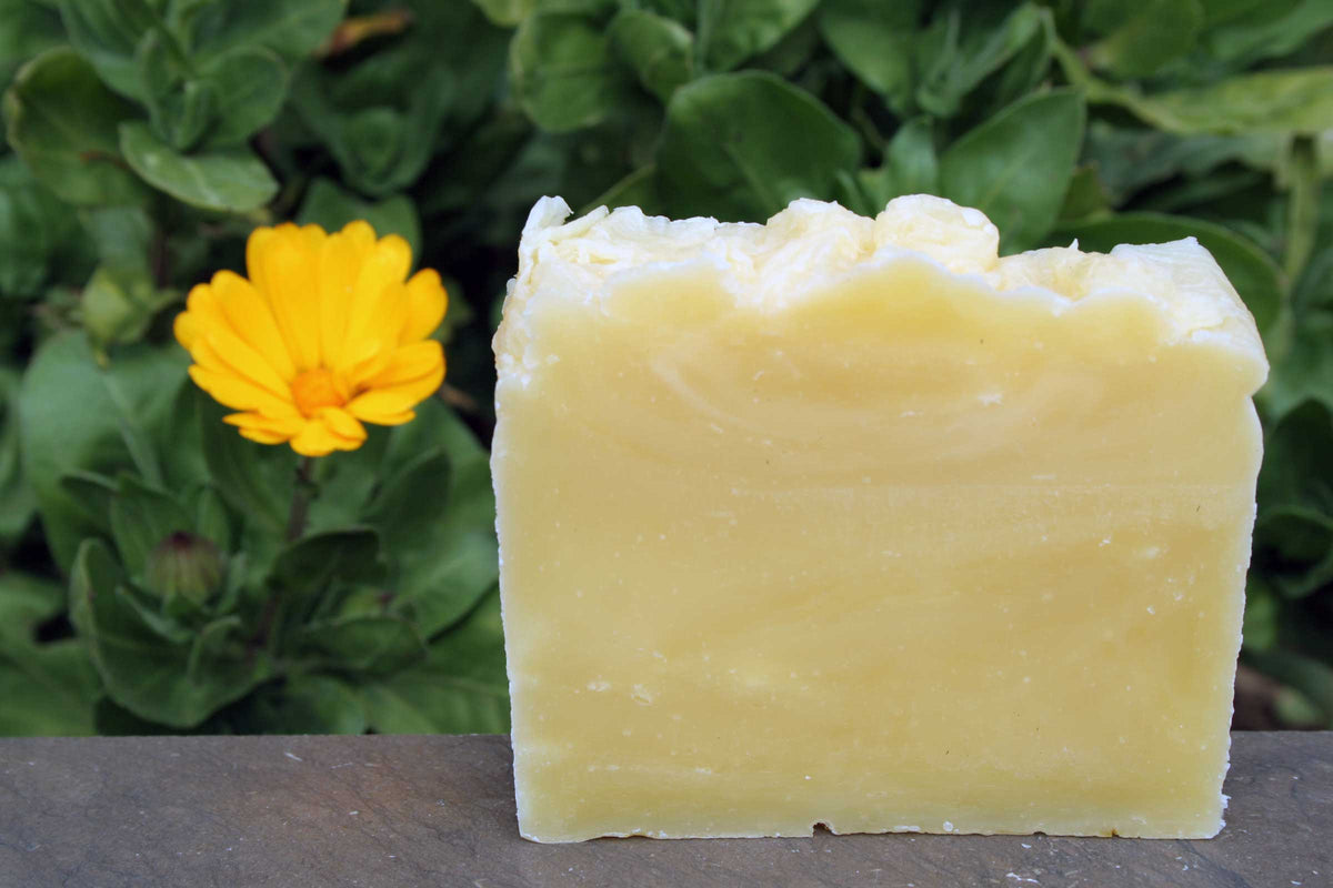 Gentle Cleansing Cranberry Bar